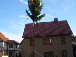 K07